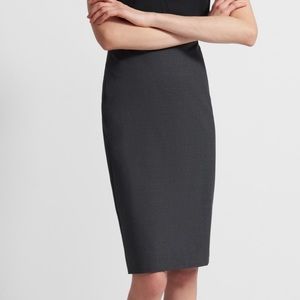 EUC theory pencil skirt
